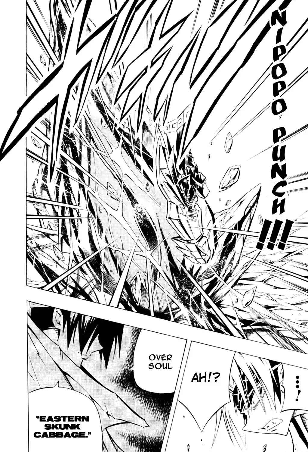 Shaman King Chapter 292 15